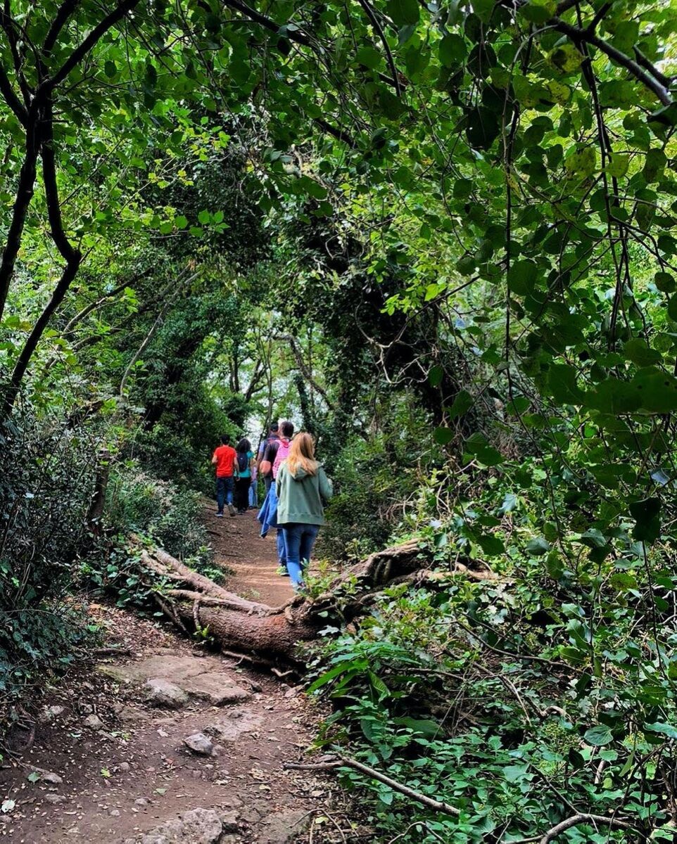 Yoga e Passeggiata panoramica sulla Rocca di Garda Yoga e Passeggiata panoramica sulla Rocca di Garda desktop picture