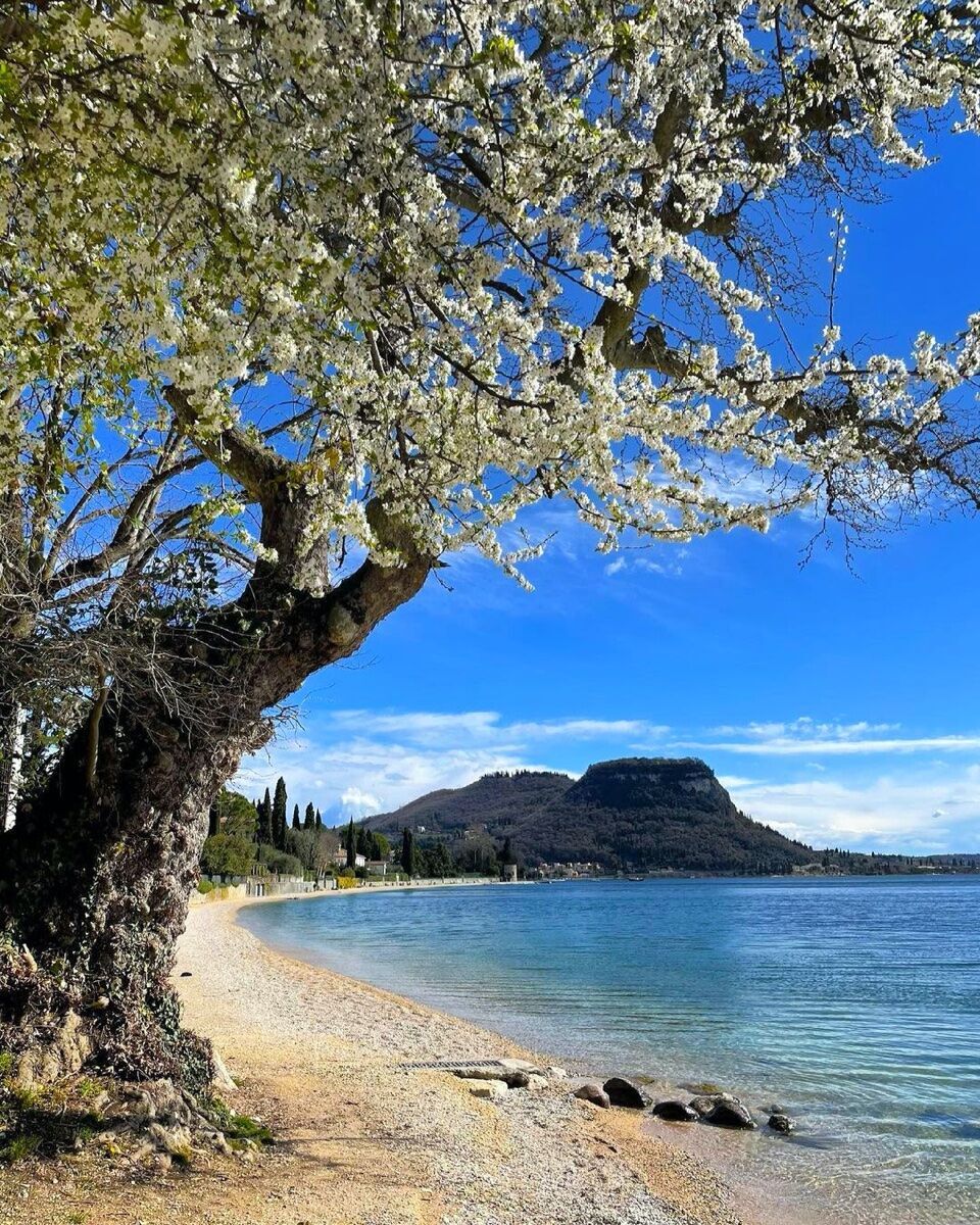Yoga e Passeggiata panoramica sulla Rocca di Garda Yoga e Passeggiata panoramica sulla Rocca di Garda desktop picture