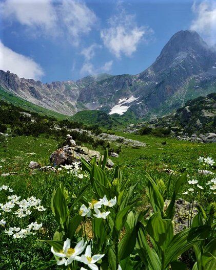 Palanfrè: una Borgata Fuori dal Tempo nel cuore delle Alpi Marittime desktop picture