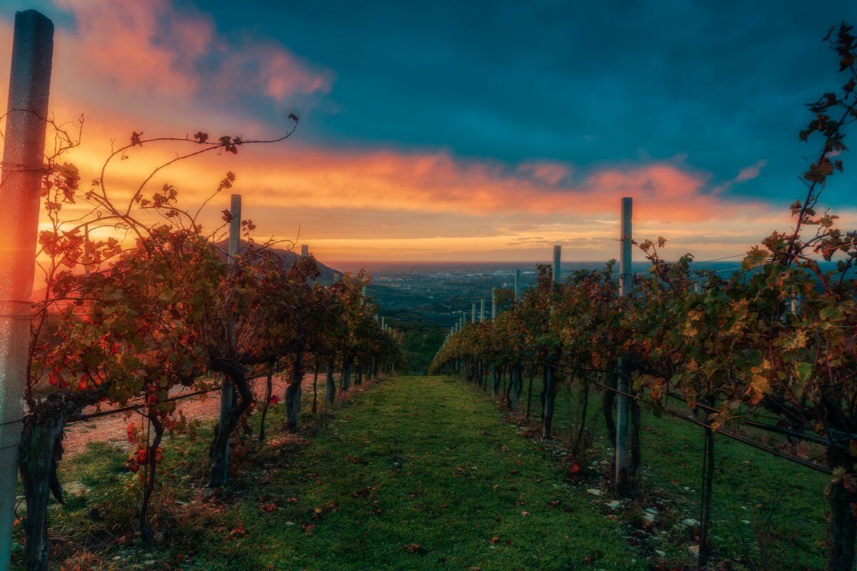 Camminata al Pianoro del Mottolone, il balcone sui Colli Euganei Camminata al Pianoro del Mottolone, il balcone sui Colli Euganei desktop picture