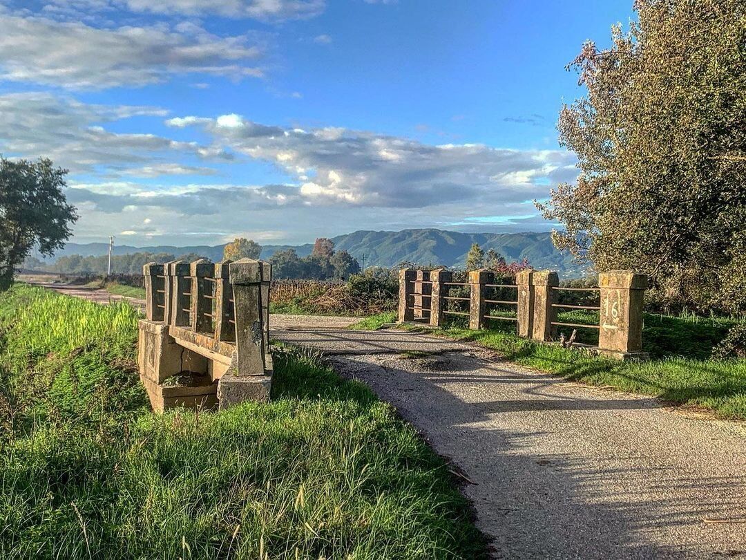 Un Piacevole Percorso tra il Lago della Gherardesca e la Ferrovia Lucca-Pontedera - MATTINA Un Piacevole Percorso tra il Lago della Gherardesca e la Ferrovia Lucca-Pontedera - MATTINA desktop picture