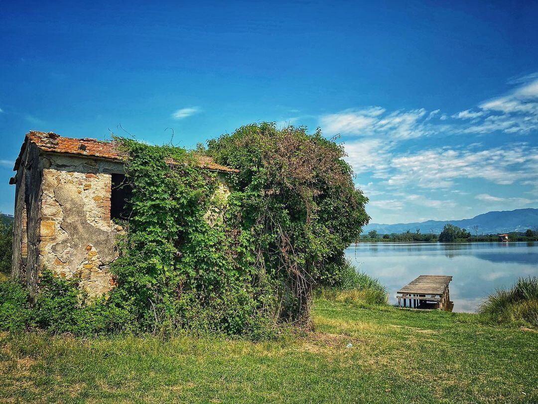 Un Piacevole Percorso tra il Lago della Gherardesca e la Ferrovia Lucca-Pontedera - MATTINA desktop picture