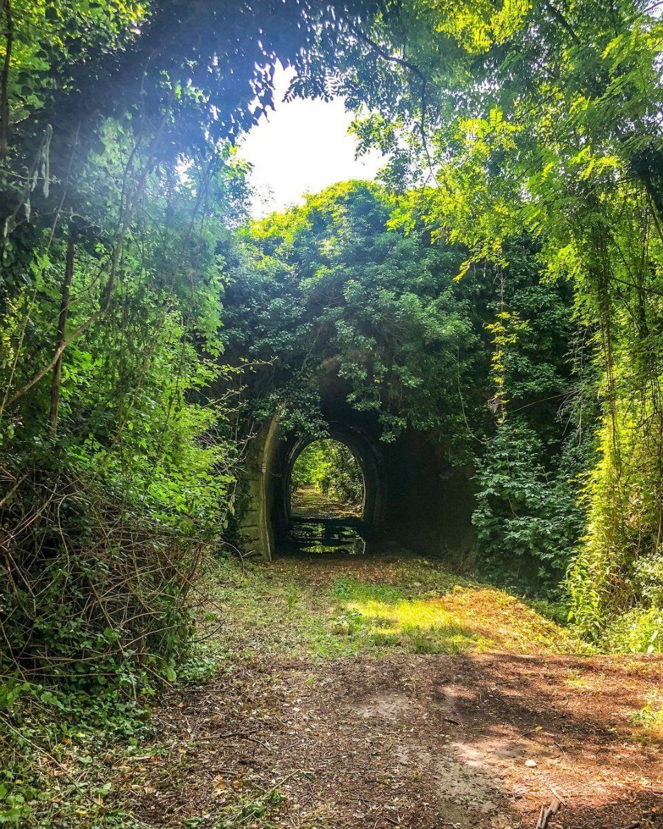 Un Piacevole Percorso tra il Lago della Gherardesca e la Ferrovia Lucca-Pontedera - MATTINA Un Piacevole Percorso tra il Lago della Gherardesca e la Ferrovia Lucca-Pontedera - MATTINA desktop picture