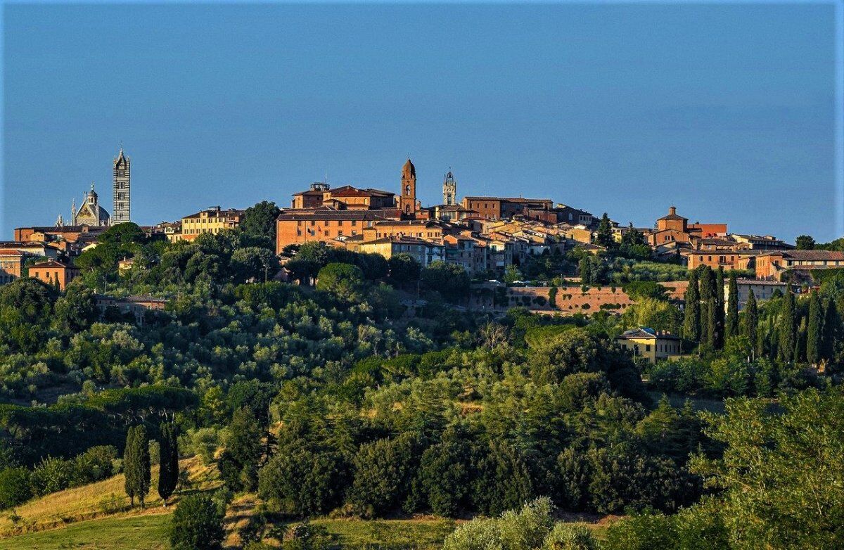Visita Guidata a Siena: Città Medievale in cui il Tempo si è Fermato desktop picture