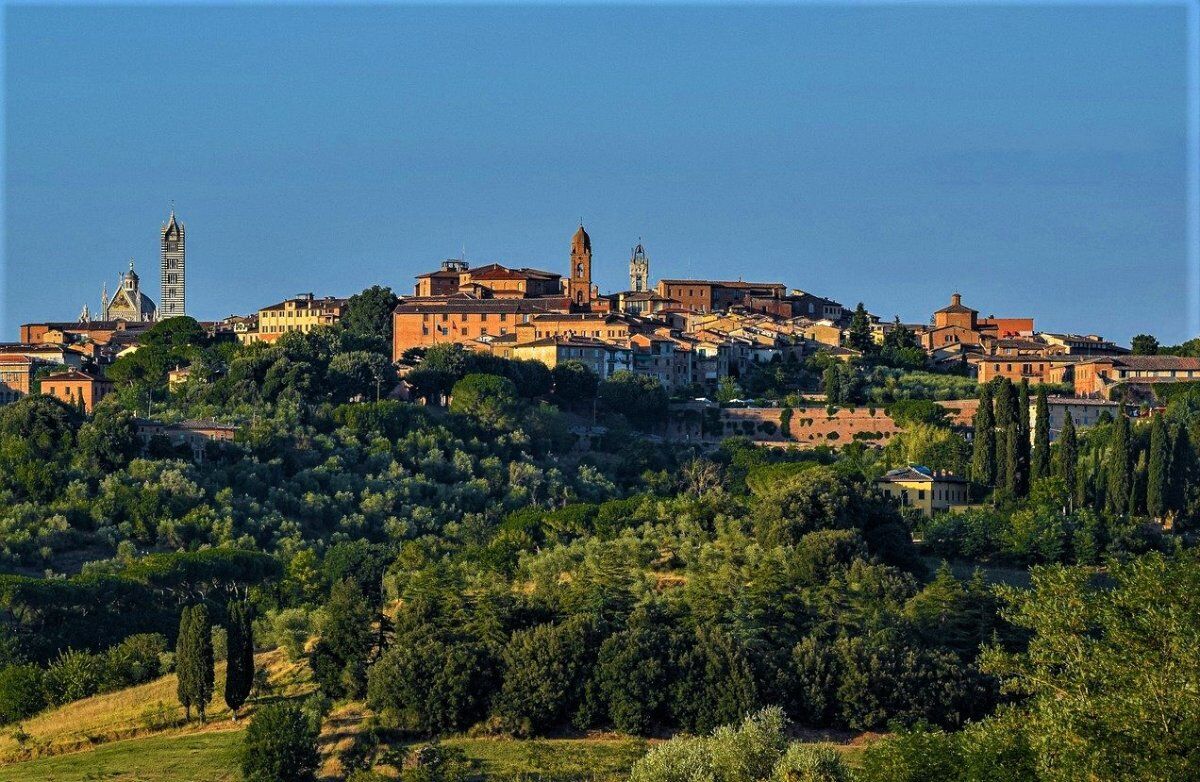 Visita Guidata a Siena: Città Medievale in cui il Tempo si è Fermato Visita Guidata a Siena: Città Medievale in cui il Tempo si è Fermato desktop picture