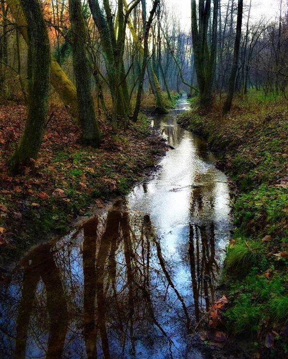 La Riserva Fontana del Guercio: un Paradiso Naturale nel Comasco desktop picture