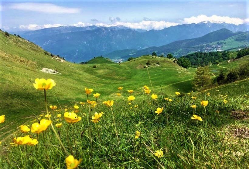 Una Dolce Passeggiata nella Riserva Naturale Bes-Corna Piana desktop picture