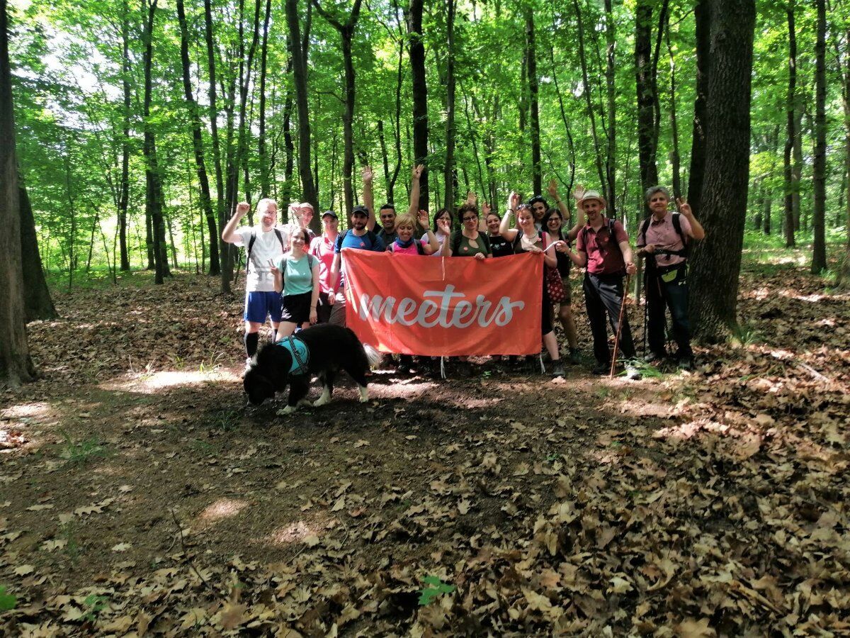 Il Parco di Appiano Gentile: Passeggiata sulle tracce degli animali Il Parco di Appiano Gentile: Passeggiata sulle tracce degli animali desktop picture