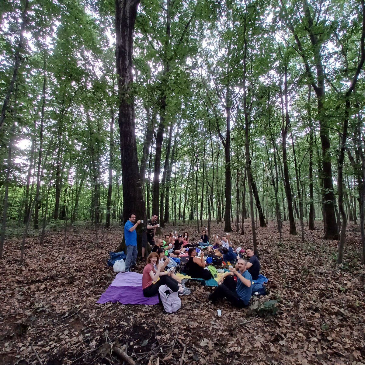 Il Parco di Appiano Gentile: Passeggiata sulle tracce degli animali Il Parco di Appiano Gentile: Passeggiata sulle tracce degli animali desktop picture