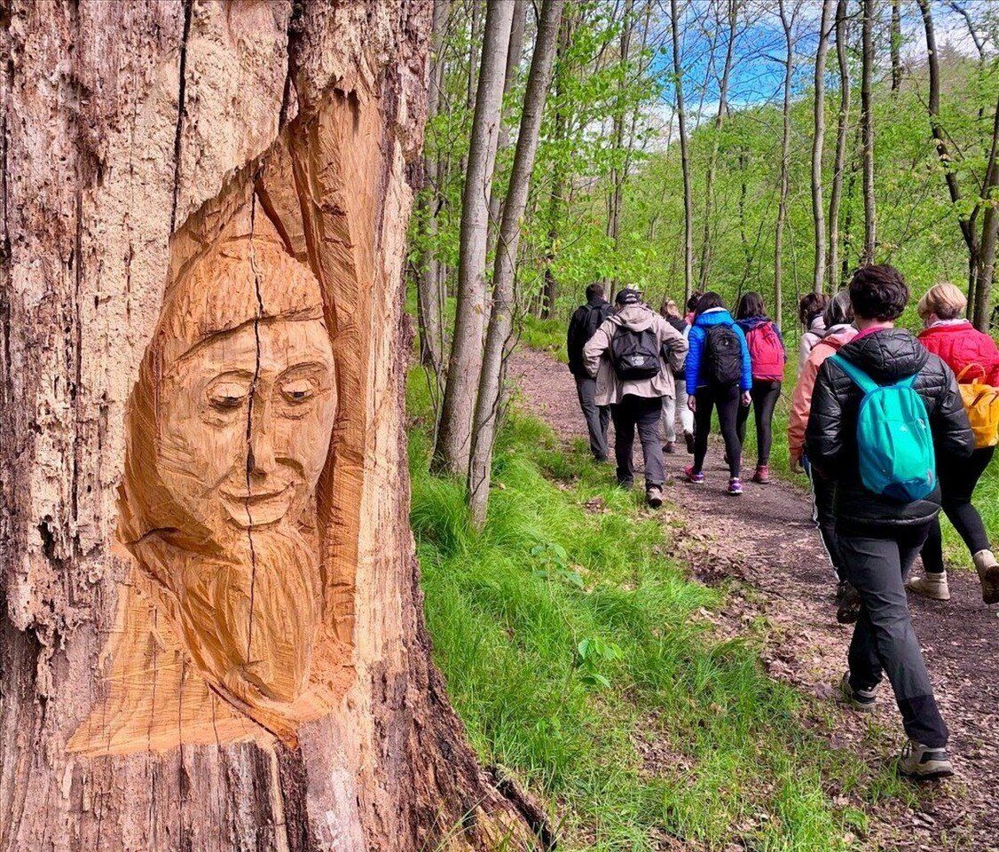 Il Parco di Appiano Gentile: Passeggiata sulle tracce degli animali Il Parco di Appiano Gentile: Passeggiata sulle tracce degli animali desktop picture