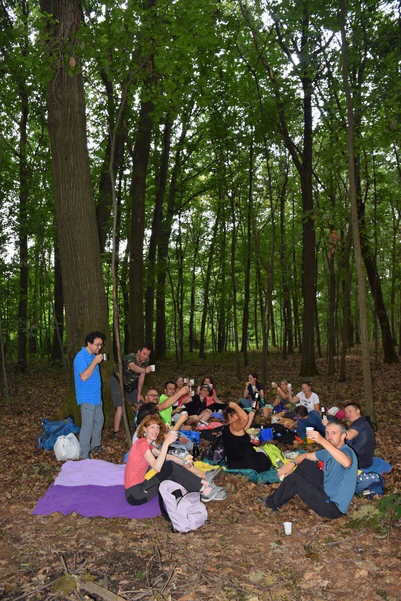 Il Parco di Appiano Gentile: Passeggiata sulle tracce degli animali Il Parco di Appiano Gentile: Passeggiata sulle tracce degli animali desktop picture