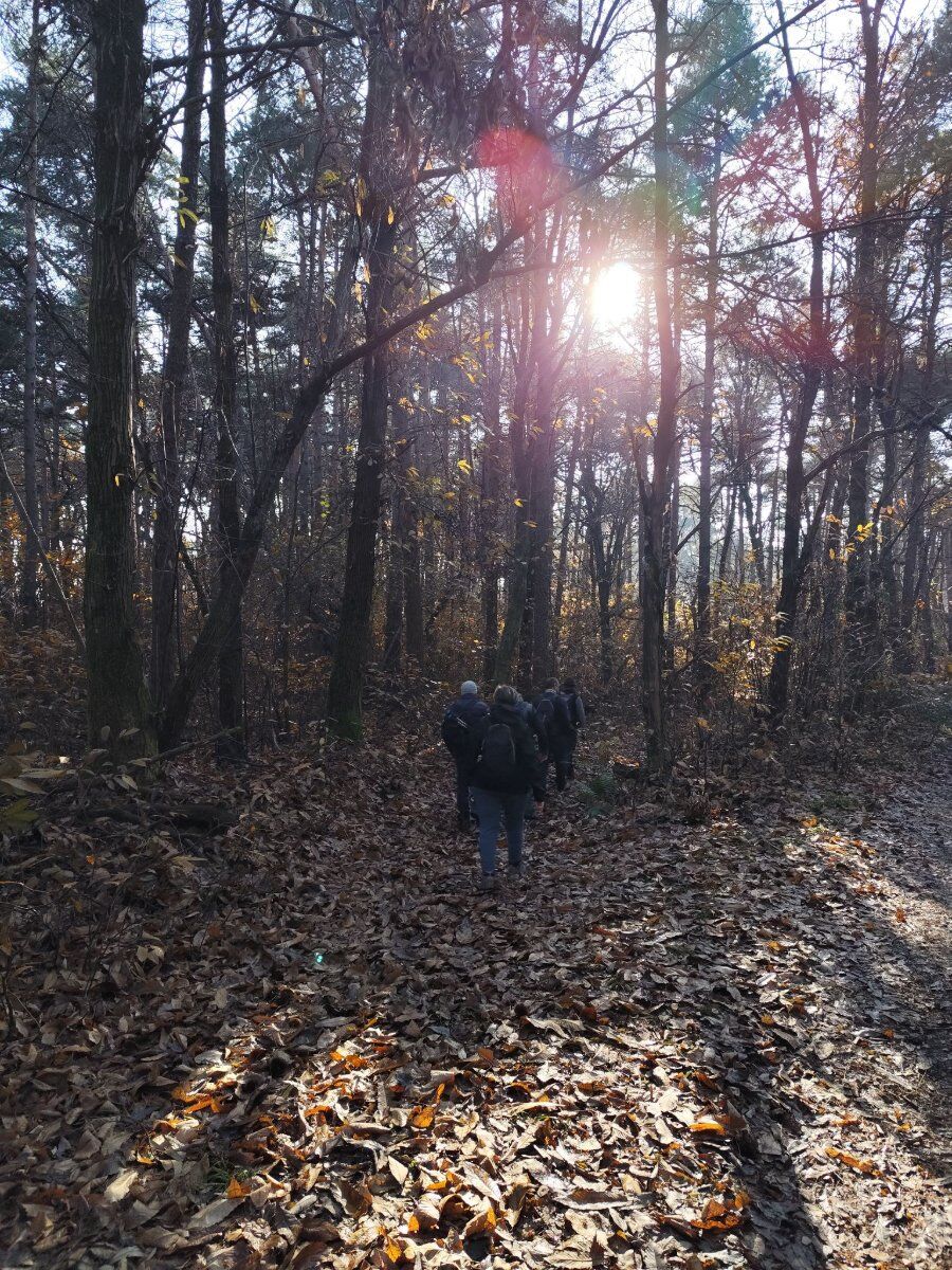 Il Parco della Pineta di Appiano Gentile: Una Passeggiata negli Ecosistemi Il Parco della Pineta di Appiano Gentile: Una Passeggiata negli Ecosistemi desktop picture