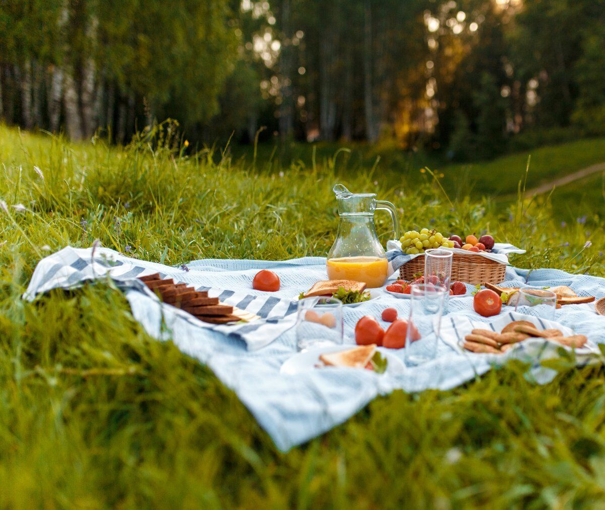 Piacevole Camminata con Picnic nel Cuore della Brianza desktop picture