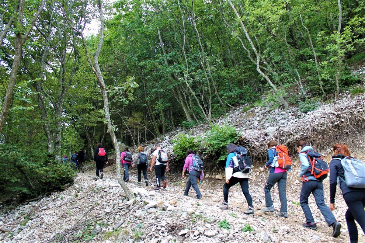 Monte Pastello: giro ad anello Monte Pastello: giro ad anello desktop picture