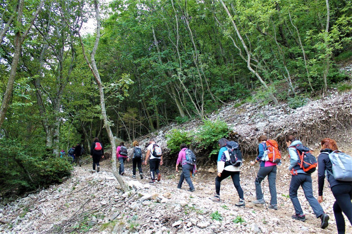 Trekking panoramico sul Monte Pastello: la magia della Lessinia desktop picture