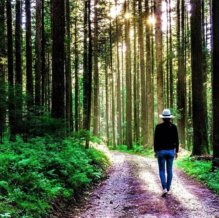 Walking e Yoga nella Magica Cornice del Parco Naturale del Fiume Sile Walking e Yoga nella Magica Cornice del Parco Naturale del Fiume Sile desktop picture