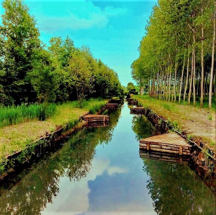 Walking e Yoga nella Magica Cornice del Parco Naturale del Fiume Sile Walking e Yoga nella Magica Cornice del Parco Naturale del Fiume Sile desktop picture