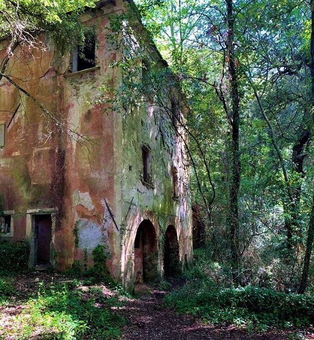 La Stamperia Clandestina del Fodo: Itinerario Inedito tra Storia e Natura - MATTINA La Stamperia Clandestina del Fodo: Itinerario Inedito tra Storia e Natura - MATTINA desktop picture