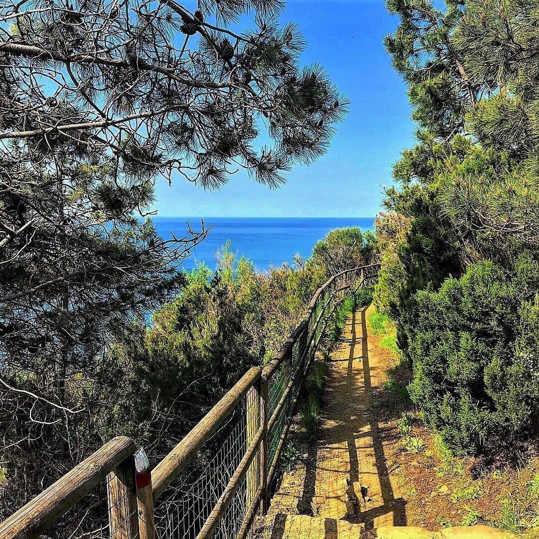 Il Santuario di Montenero e Lemmen: Lungo i Sentieri della Costa Ligure - MATTINA Il Santuario di Montenero e Lemmen: Lungo i Sentieri della Costa Ligure - MATTINA desktop picture