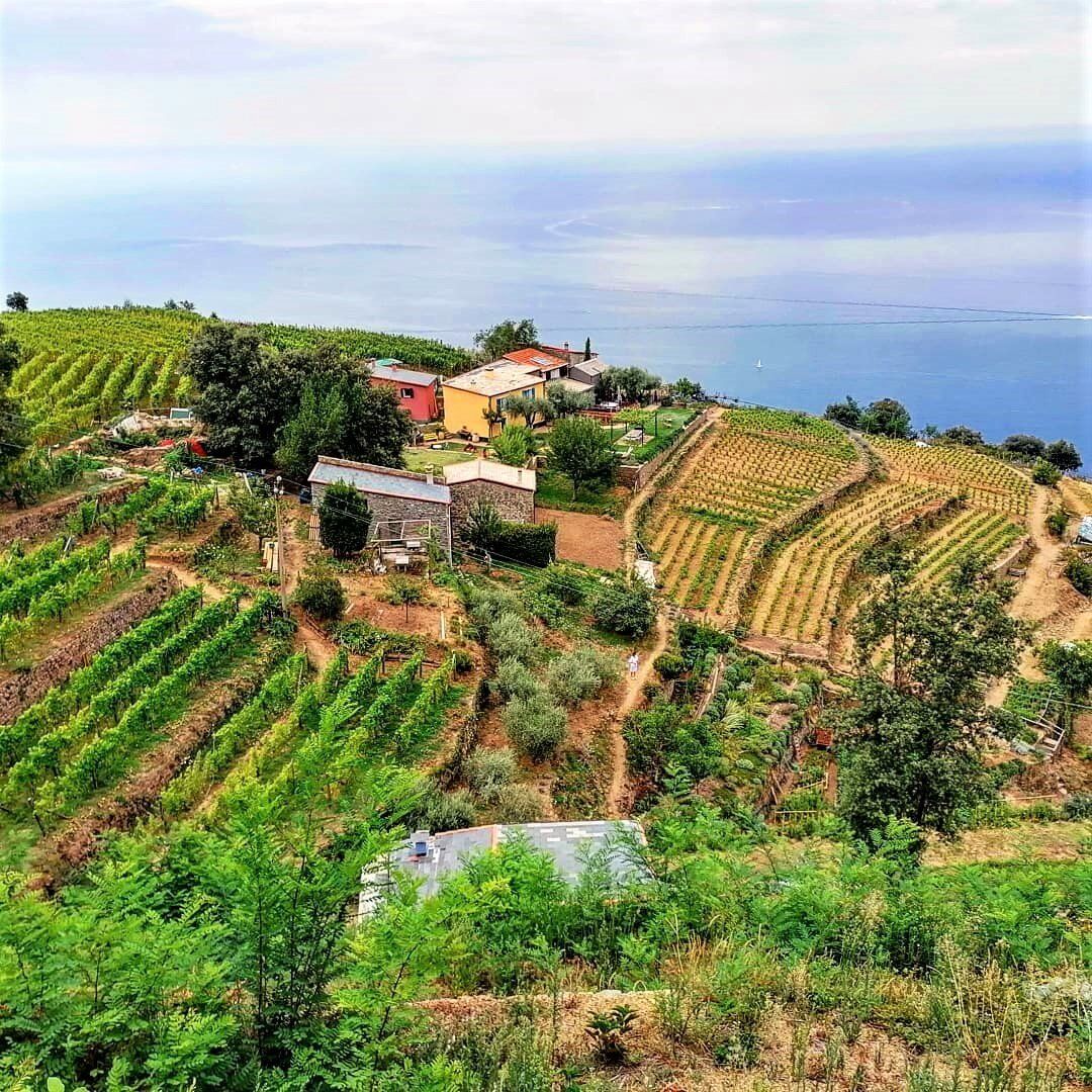 Il Santuario di Montenero e Lemmen: Lungo i Sentieri della Costa Ligure - MATTINA Il Santuario di Montenero e Lemmen: Lungo i Sentieri della Costa Ligure - MATTINA desktop picture