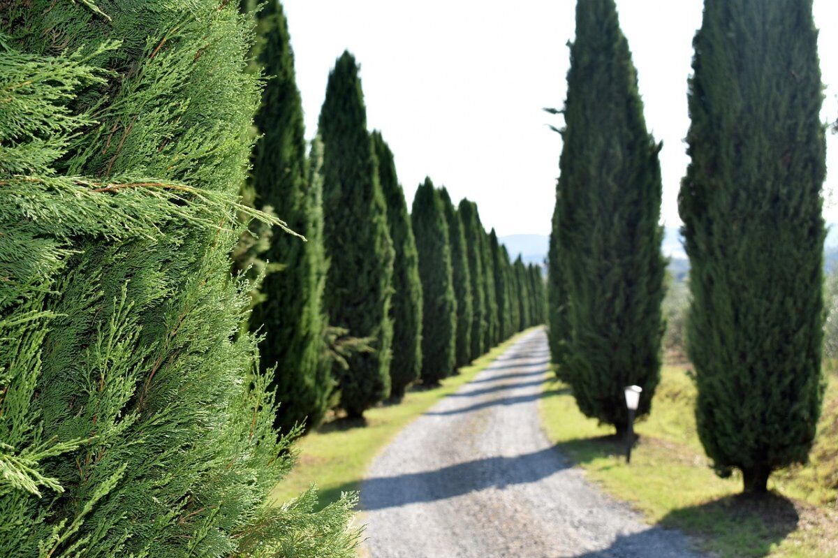 Tre Giorni nelle Terre del Chianti (2notti/3giorni) desktop picture