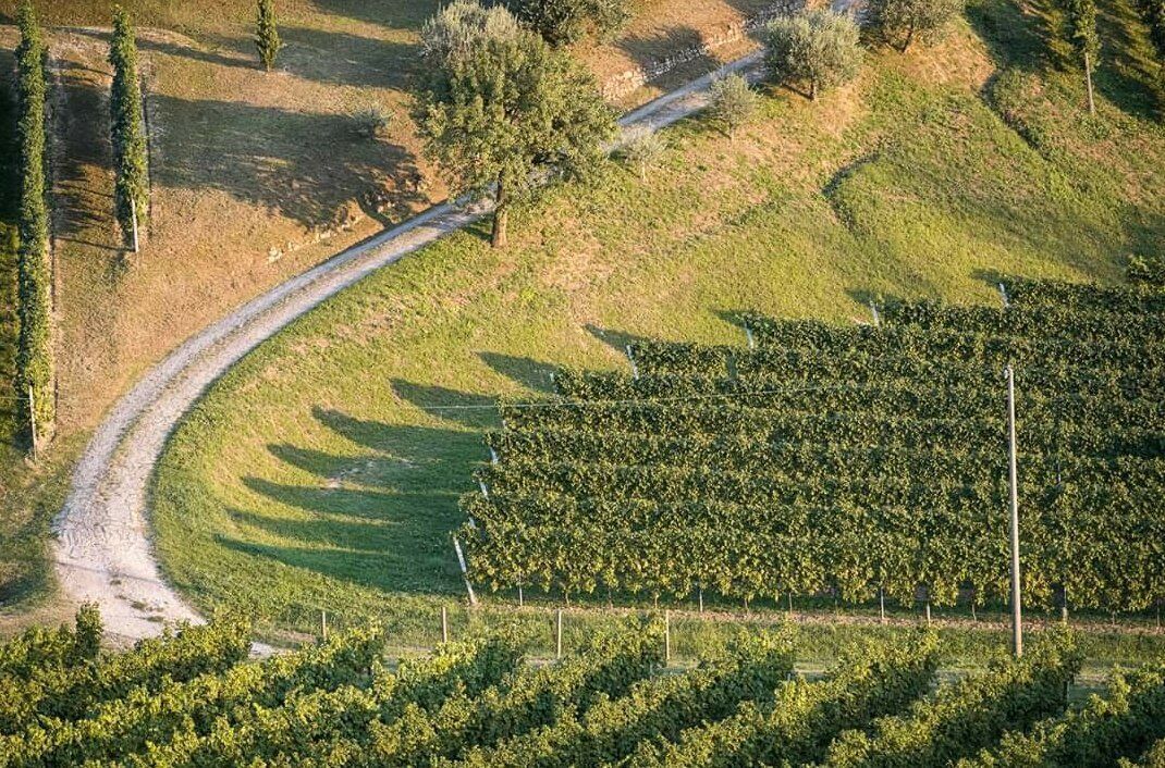 Due Giorni nelle Colline del Prosecco: tra Bici Elettrica e Degustazioni Due Giorni nelle Colline del Prosecco: tra Bici Elettrica e Degustazioni desktop picture