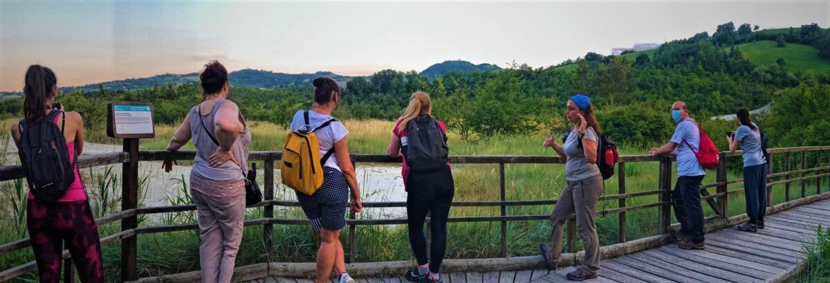 Trekking Serale alle Salse di Nirano: I Vulcani del Modenese desktop picture