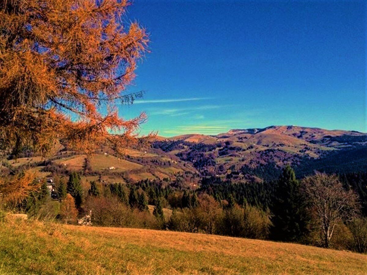 Il Fascino Delicato dei Colli Alti: Un'Escursione a Contatto con la Storia - POMERIGGIO Il Fascino Delicato dei Colli Alti: Un'Escursione a Contatto con la Storia - POMERIGGIO desktop picture