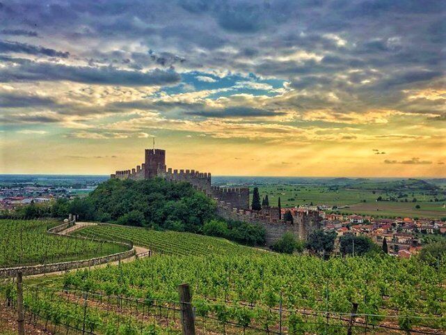 Tra Soave e Monteforte d’Alpone: Passeggiata e Yoga in simbiosi con la Natura desktop picture