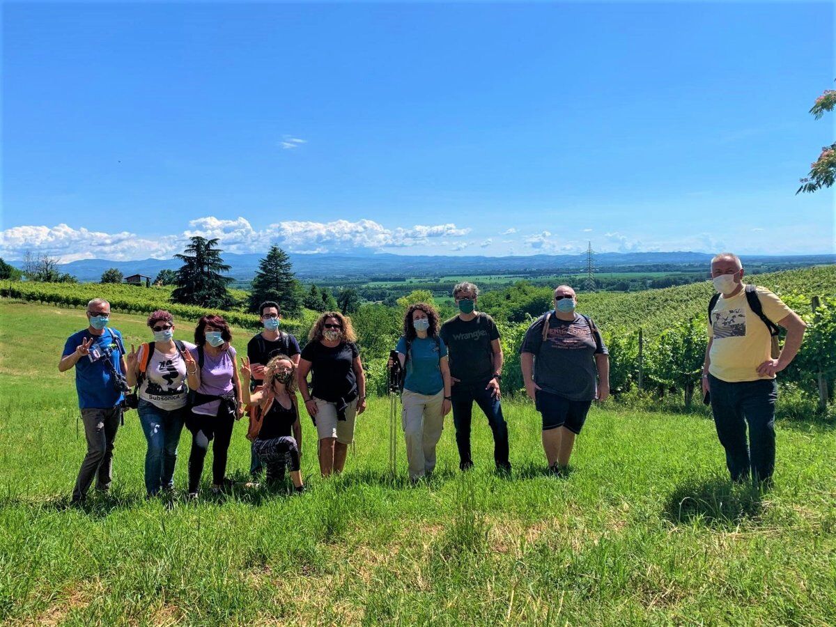 San Colombano al Lambro: Itinerario tra i Vigneti della Collina Morenica - POMERIGGIO desktop picture