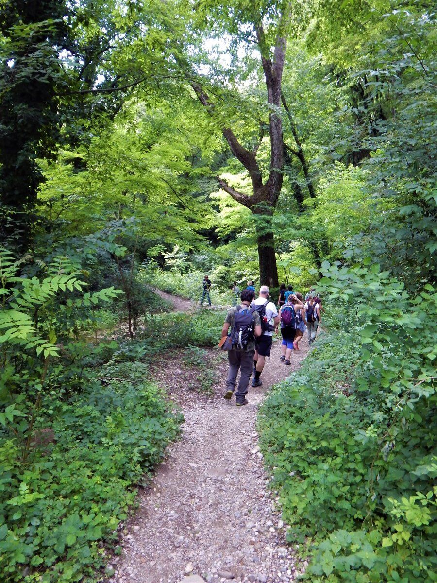 Giro ad anello del Monte Moscal, degustazione vini e visita parco villa storica Giro ad anello del Monte Moscal, degustazione vini e visita parco villa storica desktop picture