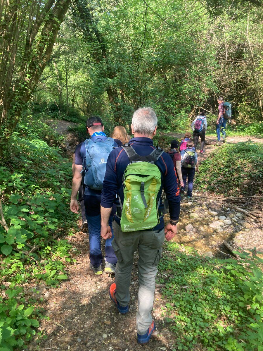 Giro ad anello del Monte Moscal, degustazione vini e visita parco villa storica Giro ad anello del Monte Moscal, degustazione vini e visita parco villa storica desktop picture