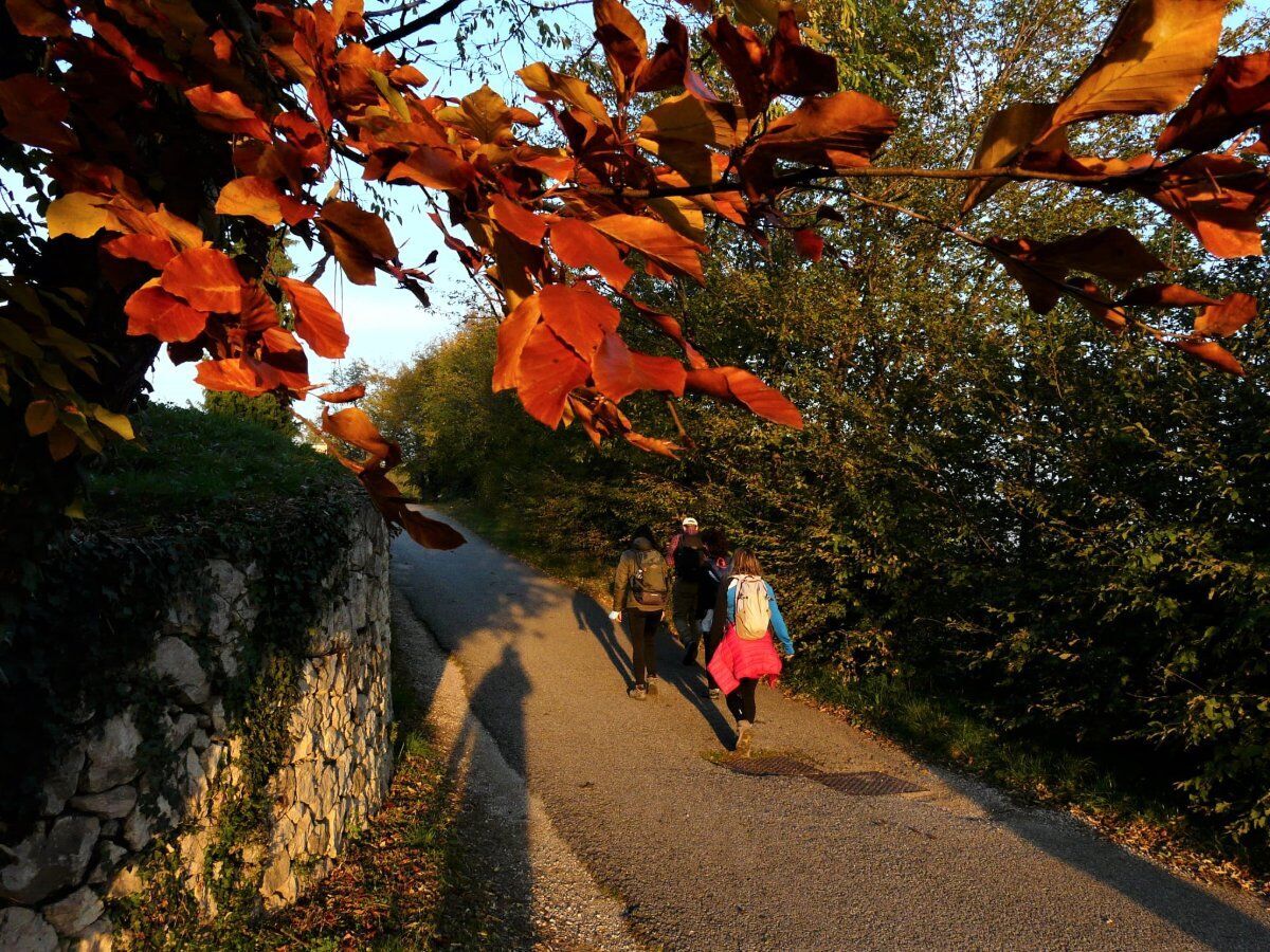 Una Passeggiata per Svelare le Leggende della Pedemontana Una Passeggiata per Svelare le Leggende della Pedemontana desktop picture