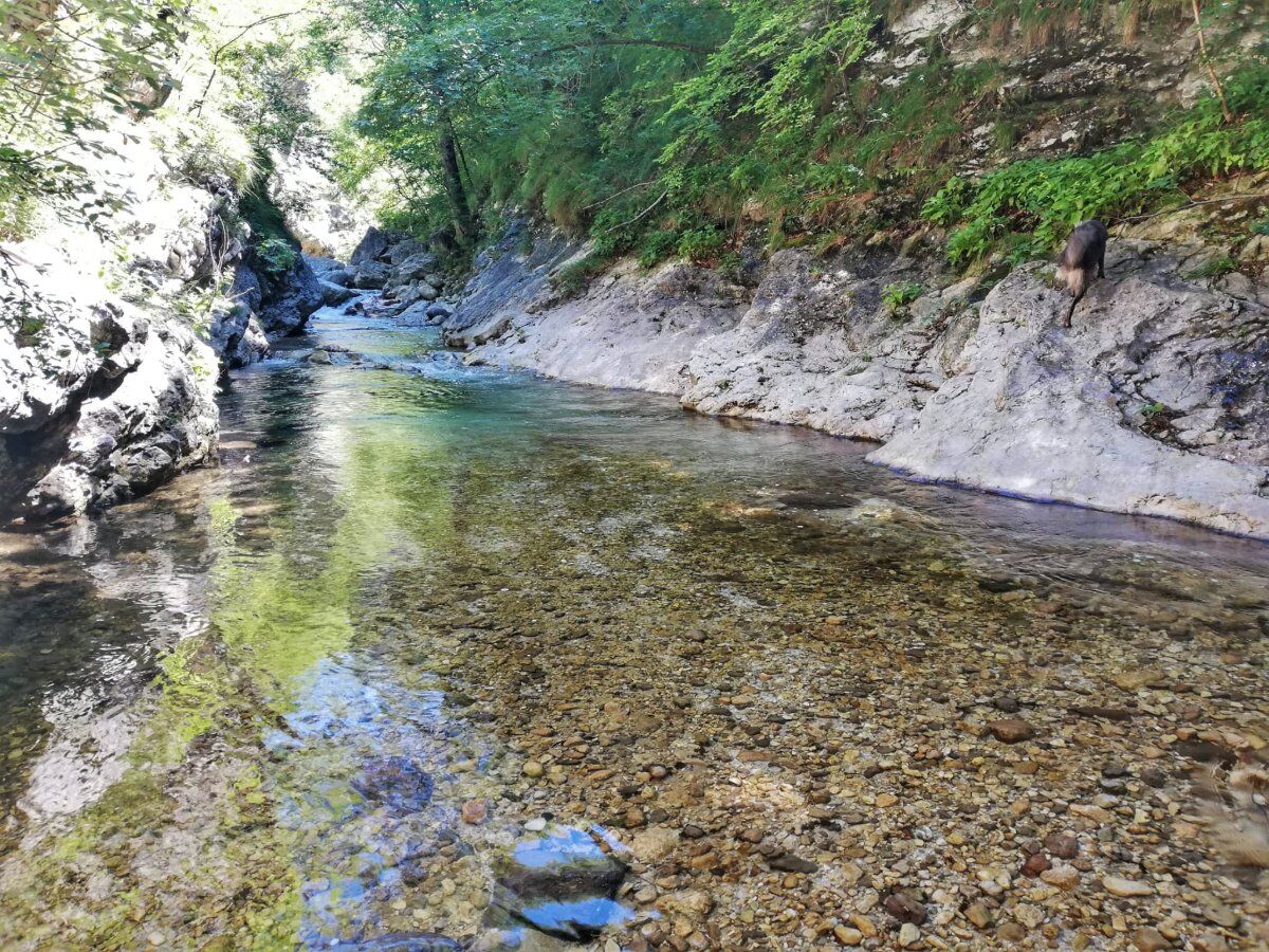 Una Dolce Escursione nella Valle del Rio Cavallo desktop picture