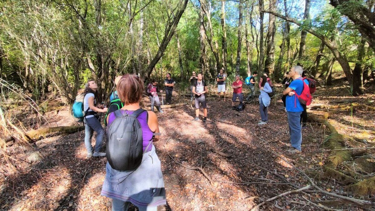 Trekking alla fragorosa Cascata di Moraduccio Trekking alla fragorosa Cascata di Moraduccio desktop picture