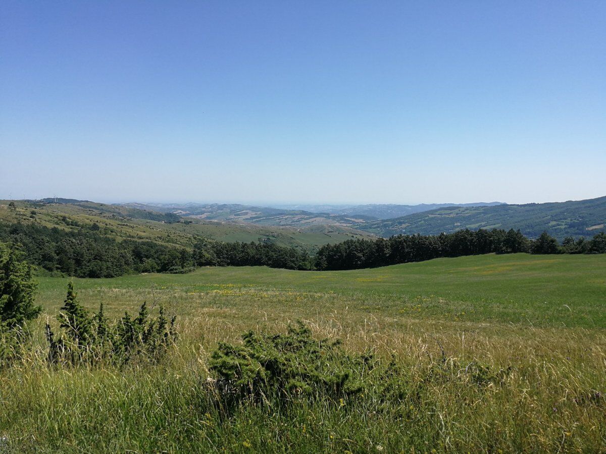 Trekking alla fragorosa Cascata di Moraduccio Trekking alla fragorosa Cascata di Moraduccio desktop picture