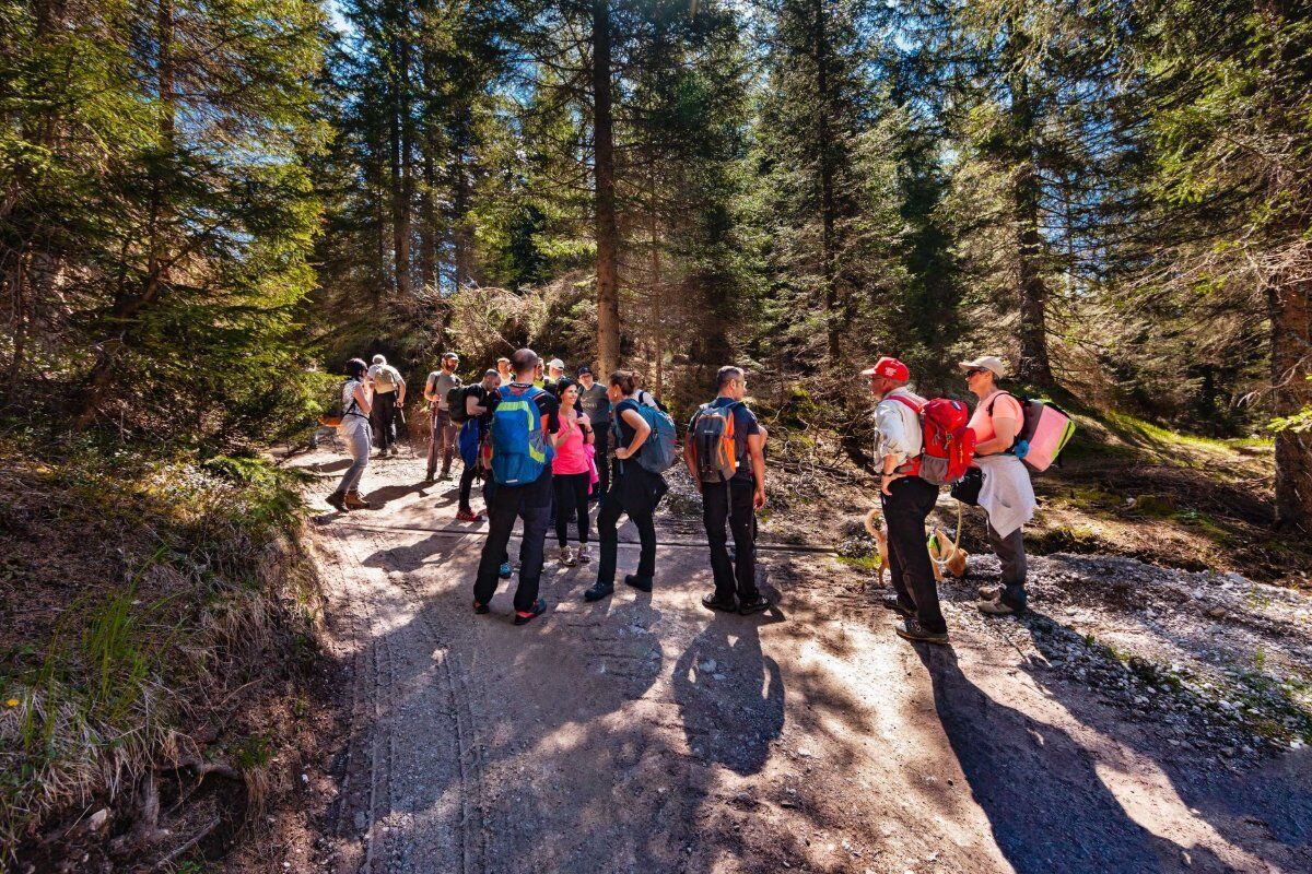 Trekking alle Malghe di Confine tra la Val Pusteria e il Comelico desktop picture