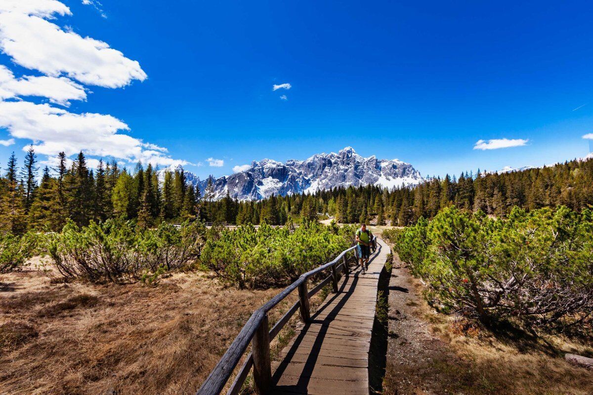 Trekking alle Malghe di Confine tra la Val Pusteria e il Comelico Trekking alle Malghe di Confine tra la Val Pusteria e il Comelico desktop picture