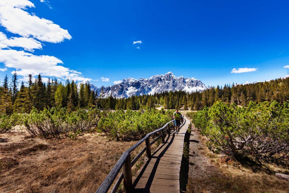 Trekking alle Malghe di Confine tra la Val Pusteria e il Comelico desktop picture