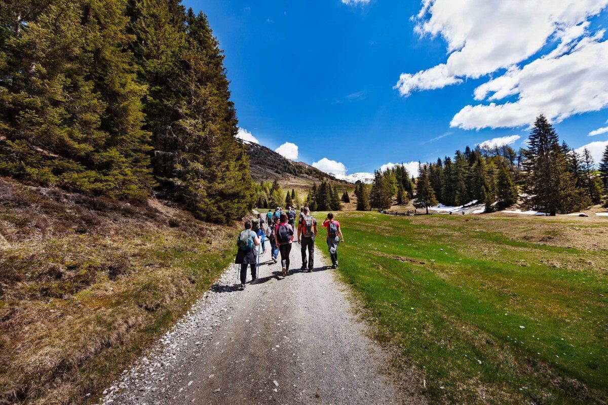 Trekking alle Malghe di Confine tra la Val Pusteria e il Comelico desktop picture