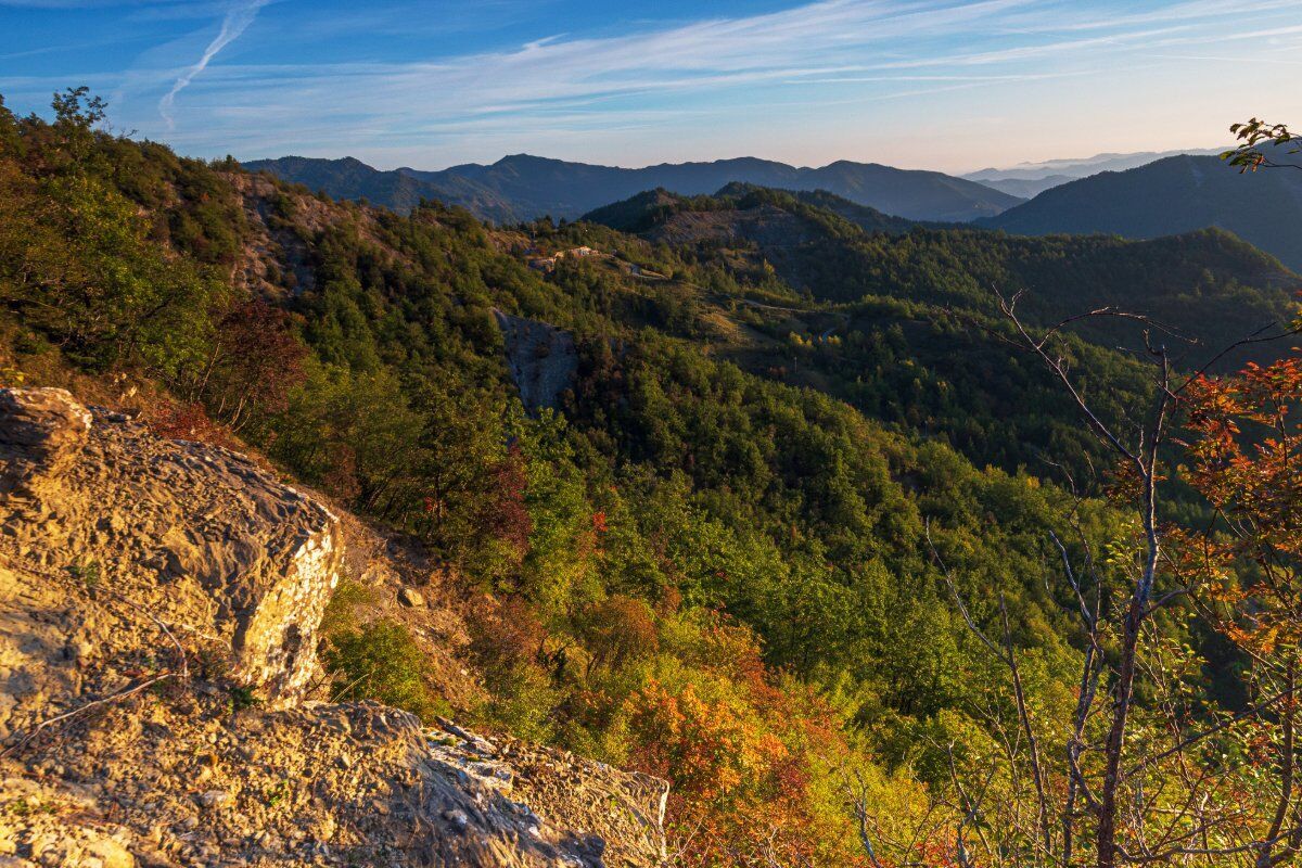 La Foresta di Campigna nel Parco Nazionale del Casentino desktop picture