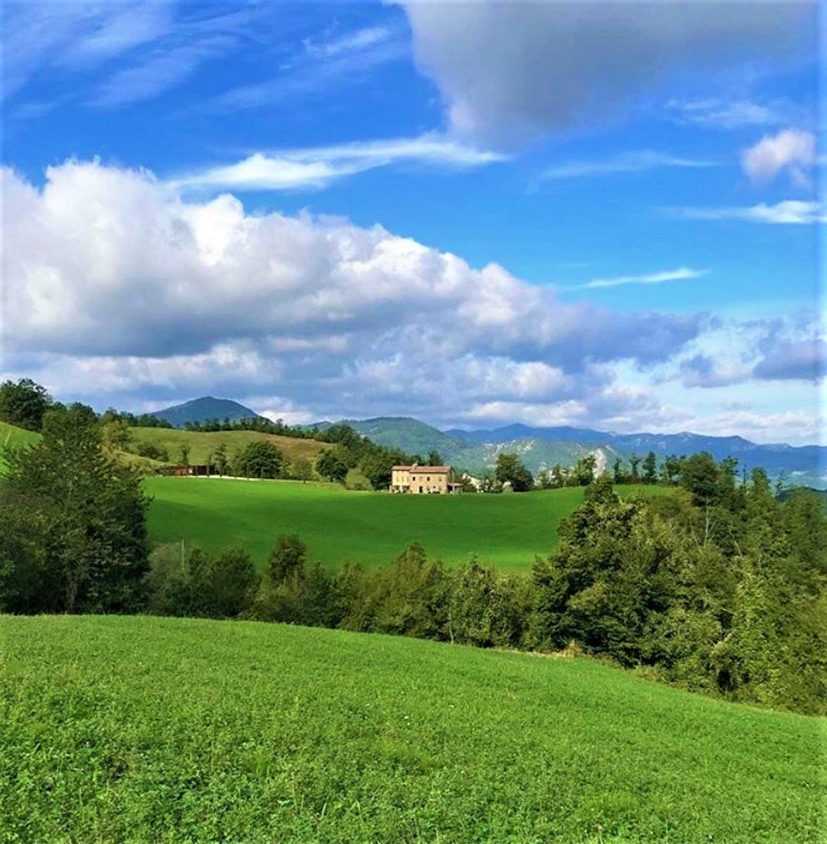 La Foresta di Campigna nel Parco Nazionale del Casentino desktop picture