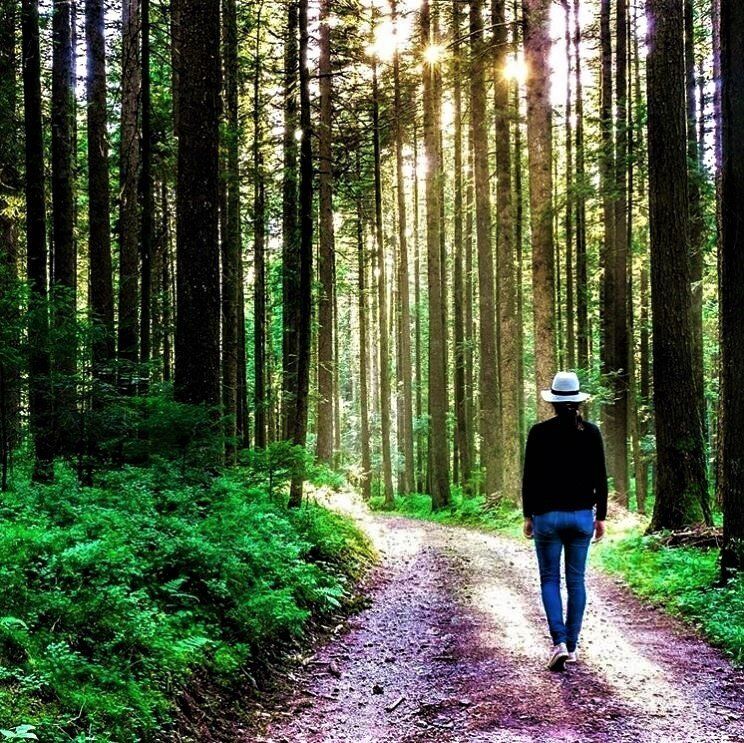Walking e Yoga nella Magica Cornice del Parco Naturale del Fiume Sile - 2° TURNO Walking e Yoga nella Magica Cornice del Parco Naturale del Fiume Sile - 2° TURNO desktop picture