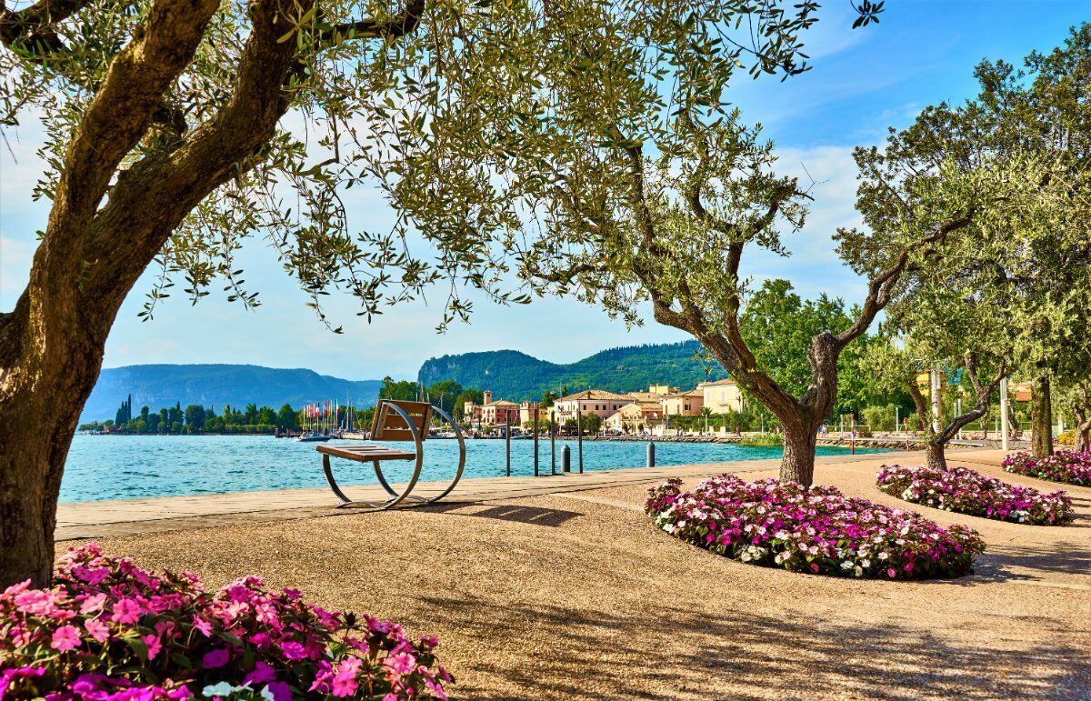 Walking e Yoga sul Lungolago: La Magia di Lazise e Bardolino desktop picture