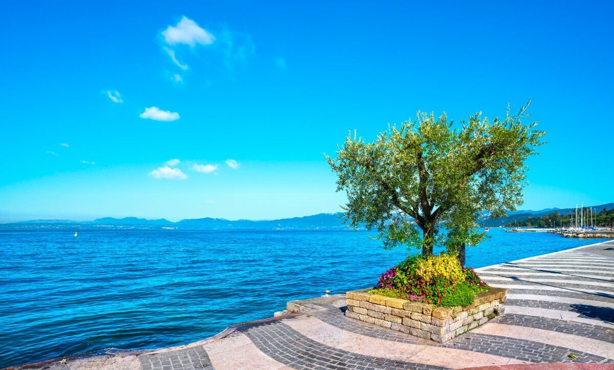 Walking e Yoga sul Lungolago: La Magia di Lazise e Bardolino desktop picture