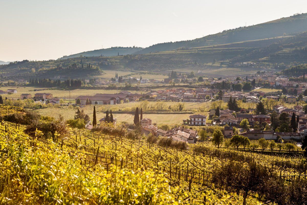 Passeggiata con Yoga a Marano di Valpolicella Passeggiata con Yoga a Marano di Valpolicella desktop picture