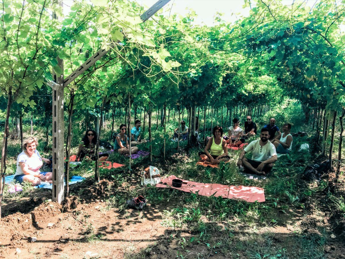 Passeggiata con Yoga a Marano di Valpolicella Passeggiata con Yoga a Marano di Valpolicella desktop picture