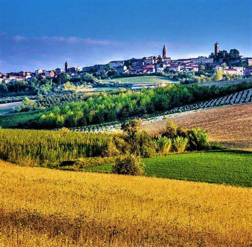 Dolce Itinerario a Monferrato, tra incantevoli Borgate e Scorci Mozzafiato - POMERIGGIO Dolce Itinerario a Monferrato, tra incantevoli Borgate e Scorci Mozzafiato - POMERIGGIO desktop picture
