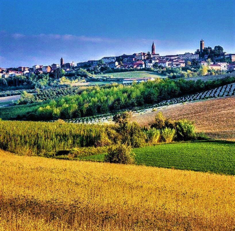 Dolce Itinerario a Monferrato, tra incantevoli Borgate e Scorci Mozzafiato - POMERIGGIO desktop picture