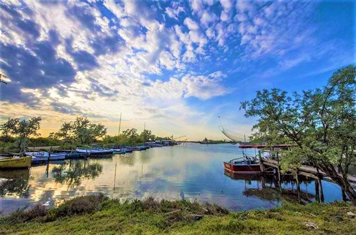 Escursione nel Delta del Po: Tra Foreste Pluviali e Fenicotteri Rosa - POMERIGGIO Escursione nel Delta del Po: Tra Foreste Pluviali e Fenicotteri Rosa - POMERIGGIO desktop picture